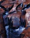 PORTER, ELIOT (1901-1990) ""Rock Eroded Stream Bed, Coyote Gulch, Utah"" * ""Shad Bush, Near Hillsborough, NH.""